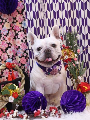 20250115ブーくん